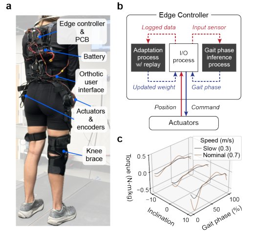 Continual Online Personalization of Exoskeleton Control via Manifold-Aware Experience Replay Figure 1