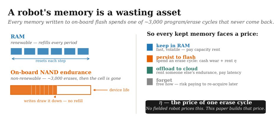 Memory as a Wasting Asset: Pricing Flash Endurance for Embodied Agents, and the Limits of Doing So Figure 1