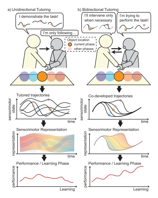 Bidirectional Tutoring for Developmental Motor Learning in Robots: Co-Developed Interaction Dynamics Support Stable Learning Figure 1