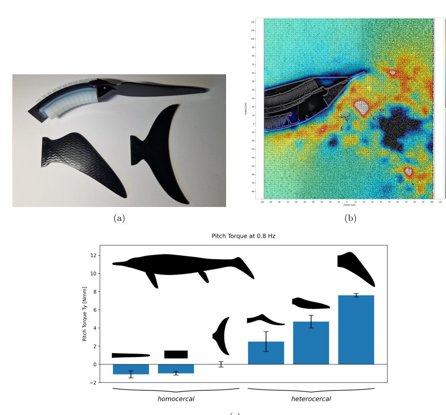 Learning Control as Enabling Layer for Embodied Intelligence Research explored with Soft Robotic Swimming in diverse Flow Speeds Figure 1