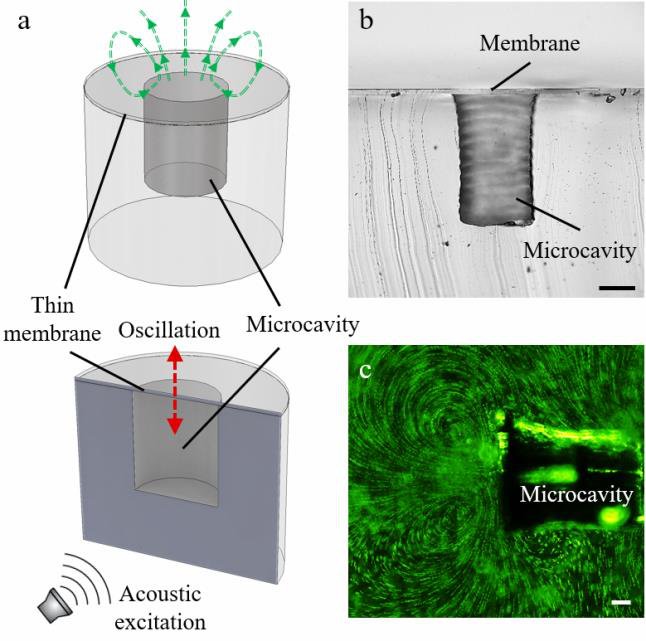 Membrane-based Acoustic Microrobots Figure 1