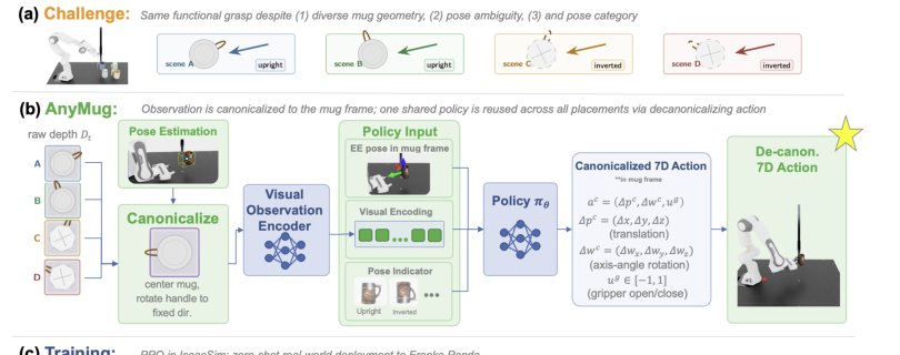 Pose-Agnostic Robotic Functional Grasping via Observation-Action Canonicalization Figure 1