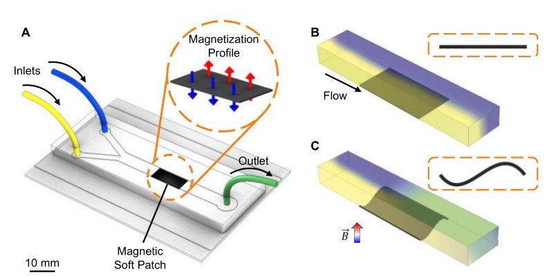 Shape-programmable Magnetic Soft Membranes for Mechanically Active Microchannels Figure 1