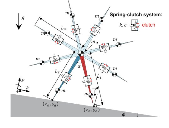 Dynamics, stability, and energy efficiency of an energy-recycling rimless wheel with spring-clutch legs Figure 1