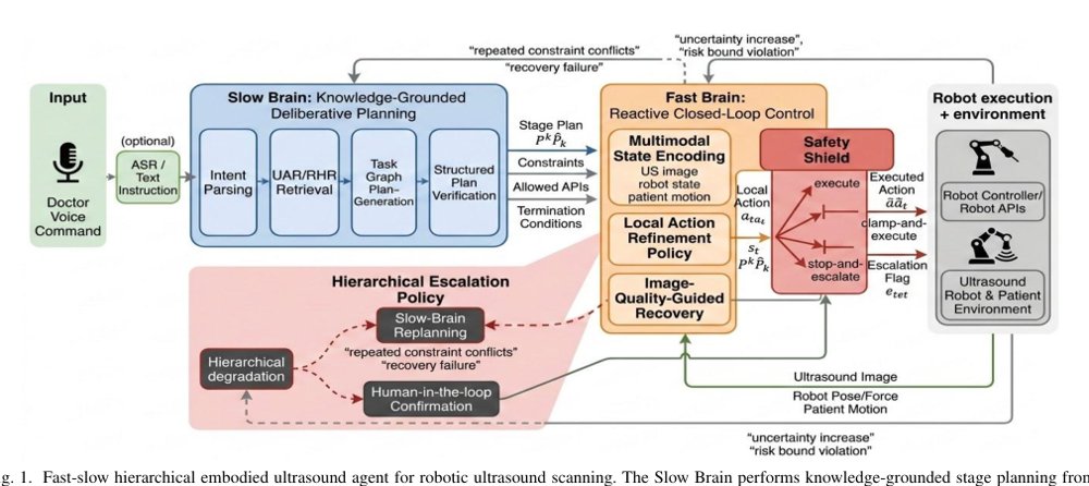 EmbodiedUS-FS: Fast Slow Intelligence for Ultrasound Robotics Figure 1