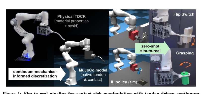 Do Rigid-Body Simulators Dream of Soft Robots? Learning Contact-Rich Manipulation for Tendon-Driven Continuum Robots Figure 1