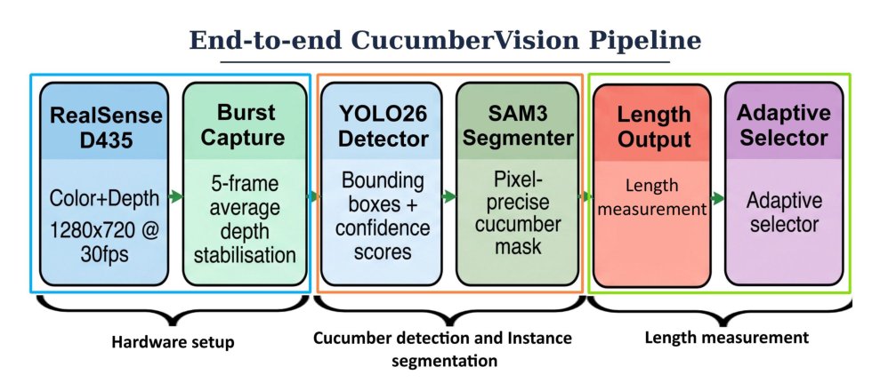 Curvature-aware 3D length estimation of greenhouse cucumbers using RGB-D imaging and cubic spline arc-length integration Figure 1