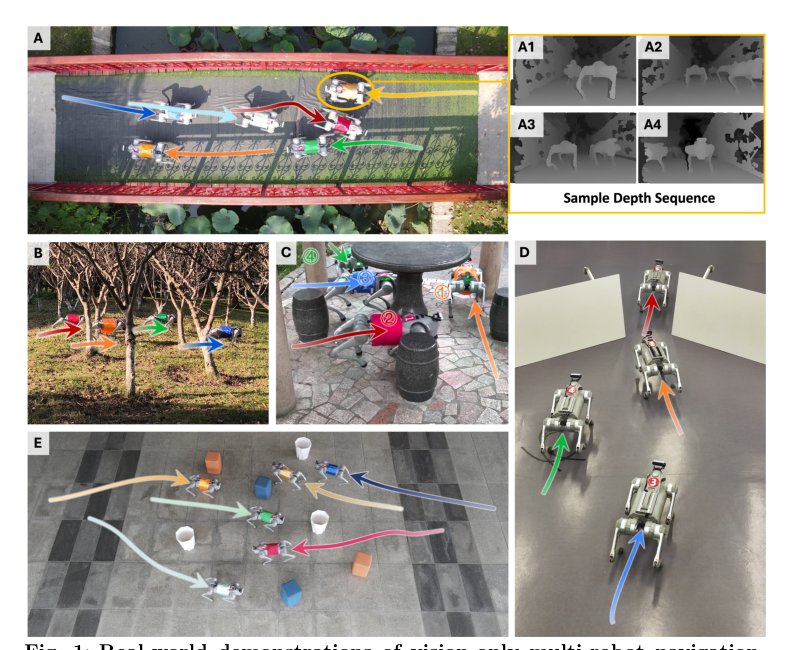Asymmetric physics enables efficient learning in quadrupedal robot swarms Figure 1