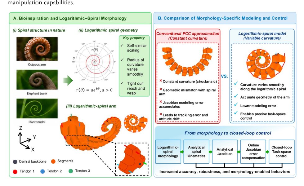 Morphology-Specific Closed-Loop Control of Logarithmic-Spiral Continuum Arms via Online Jacobian Error Compensation Figure 1