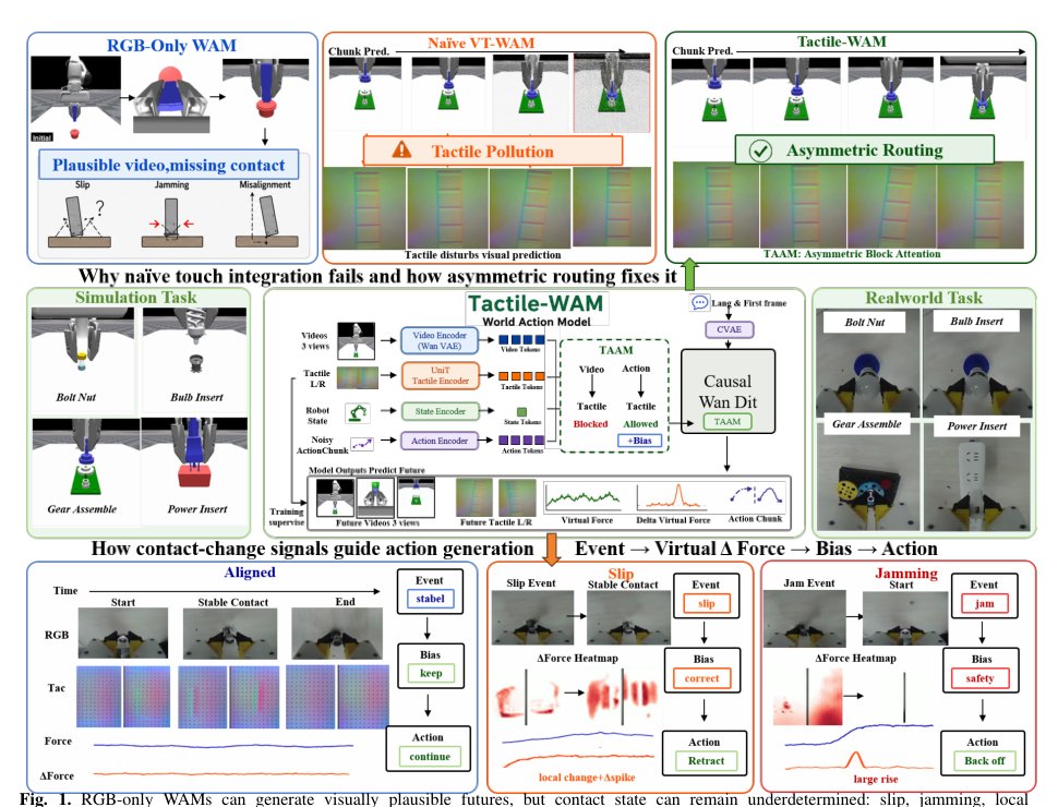 Tactile-WAM: Touch-Aware World Action Model with Tactile Asymmetric Attention Figure 1