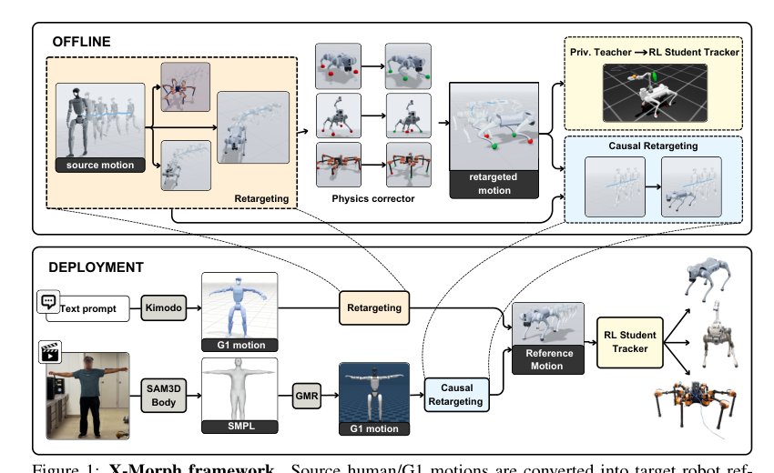 X-Morph: Human Motion Priors for Scalable Robot Learning Across Morphologies Figure 1