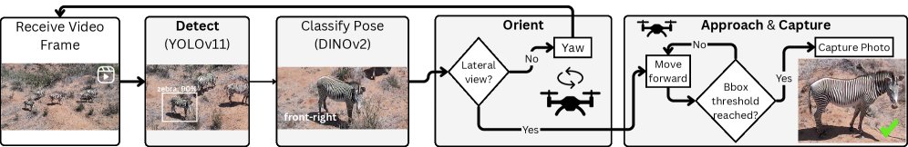 Autonomous UAV Navigation for Individual Wildlife Re-Identification Figure 1