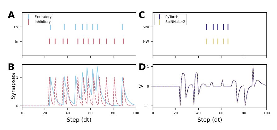 A Spiking Sequence Generator for Polar Trajectories on Neuromorphic Hardware Figure 1