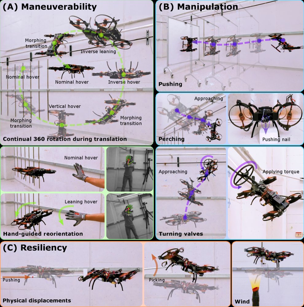 MorphQuad: Morphable Quadrotor for Superhuman Maneuverability, Manipulation, and Resiliency Figure 1