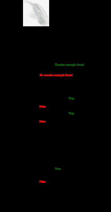 Robustness Verification of an Autonomous Underwater Vehicle-based Plankton Classifier Figure 1