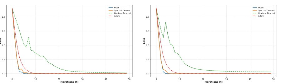 Convergence of Spectral Descent for Non-smooth Optimization Figure 1