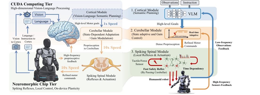 A Brain-inspired Embodied Intelligence for Fluid and Fast Reflexive Robotics Control figure