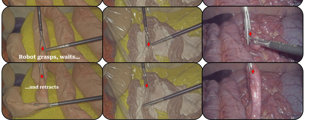 MoE-ACT: Improving Surgical Imitation Learning Policies through Supervised Mixture-of-Experts figure
