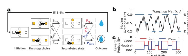 Beyond Experience: Fictive Learning as an Inherent Advantage of World Models Figure 1