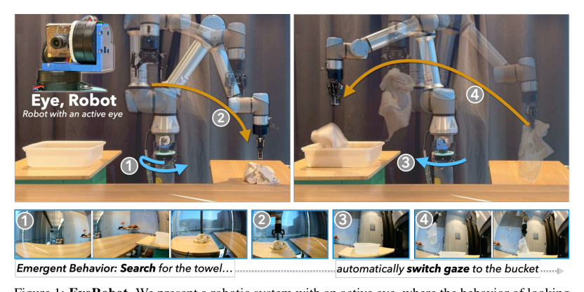Eye, Robot: Learning to Look to Act with a BC-RL Perception-Action Loop