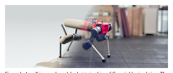 Learning Deployable Locomotion Control via Differentiable Simulation