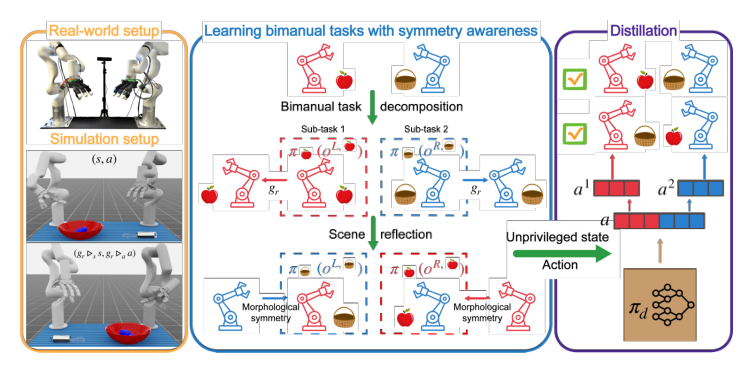 Morphologically Symmetric Reinforcement Learning for Ambidextrous Bimanual Manipulation