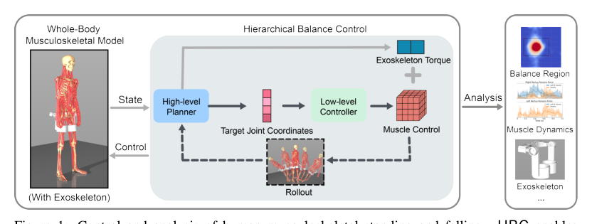 Bipedal Balance Control with Whole-body Musculoskeletal Standing and Falling Simulations