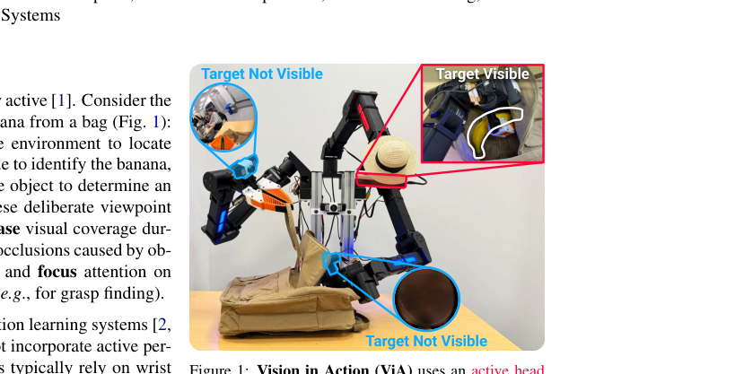 Vision in Action: Learning Active Perception from Human Demonstrations