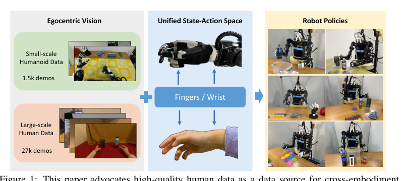 Humanoid Policy ~ Human Policy