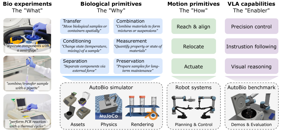 AutoBio: A Simulation and Benchmark for Robotic Automation in Digital Biology Laboratory figure