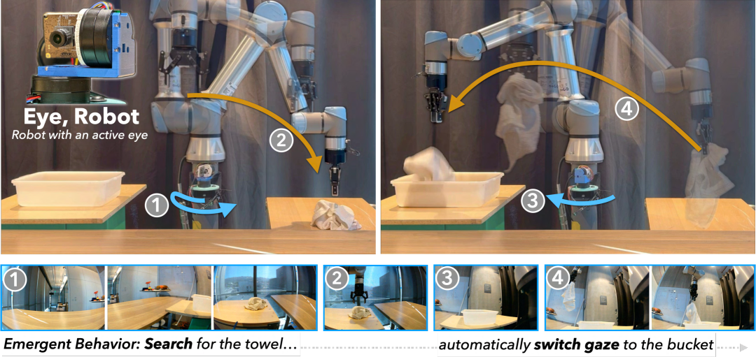 Eye, Robot: Learning to Look to Act with a BC-RL Perception-Action Loop figure