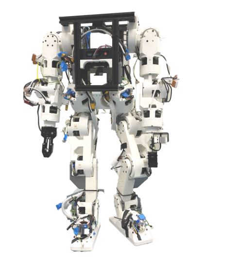 Demonstrating Berkeley Humanoid Lite: An Open-source, Accessible, and Customizable 3D-printed Humanoid Robot figure