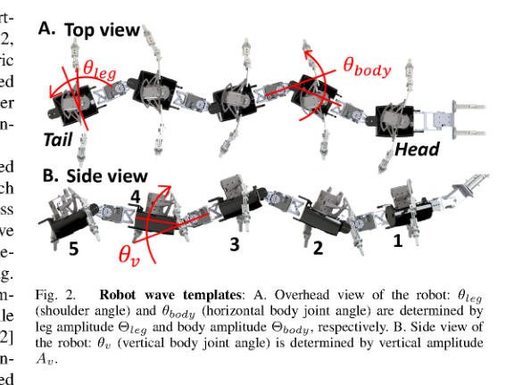 Tactile sensing enables vertical obstacle negotiation for elongate many-legged robots figure